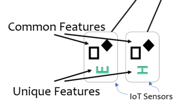 IoT network devices are not always identical. They may have common and unique features